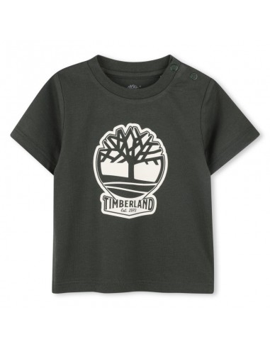 T-Shirt TIMBERLAND