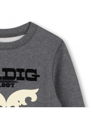 Sweat ZADIG & VOLTAIRE