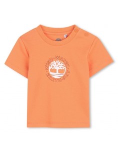 T-Shirt TIMBERLAND