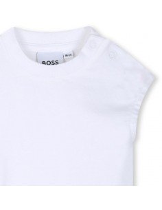 Conjunto BOSS
