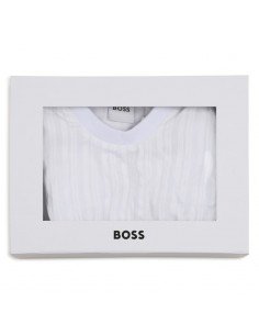Conjunto BOSS