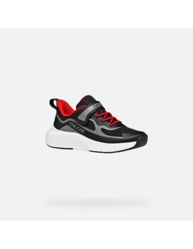 Sapatilha GEOX