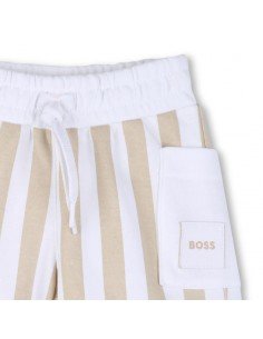 Conjunto BOSS
