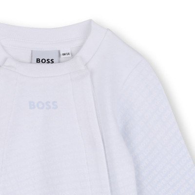 Conjunto BOSS